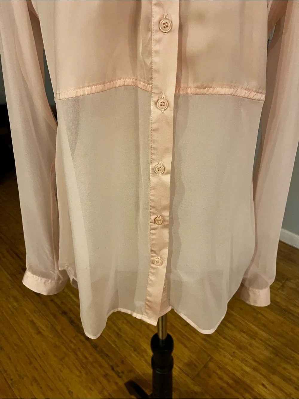 Free People Pink Sheer Button-Down Blouse